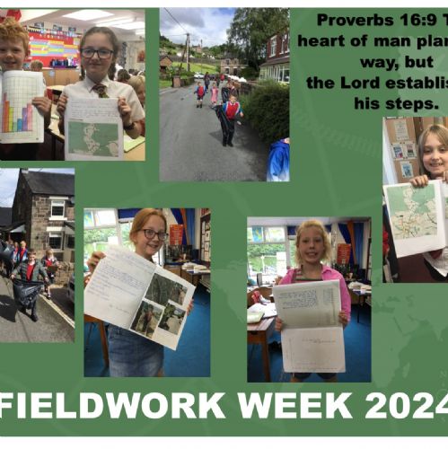 Fieldworkweekonapage20241)